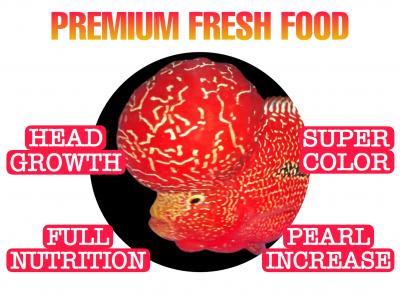 Premium Fresh Feed For FLOWERHORN - Fish Food 100 Gram